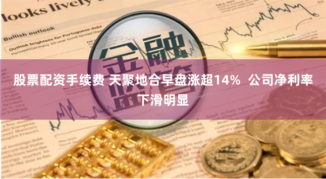 股票配资手续费 天聚地合早盘涨超14%  公司净利率下滑明显