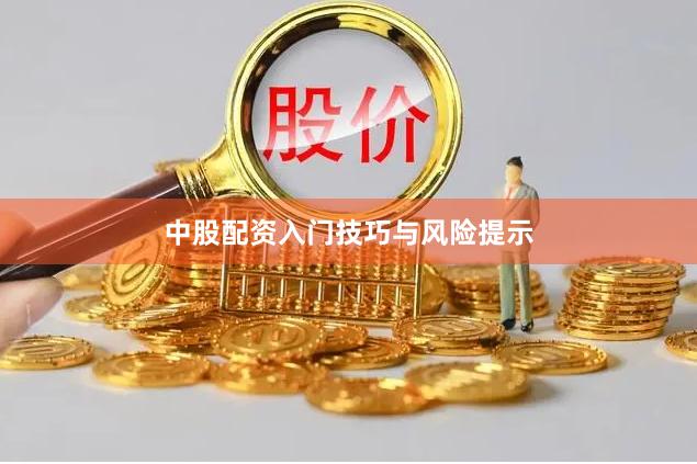 中股配资入门技巧与风险提示