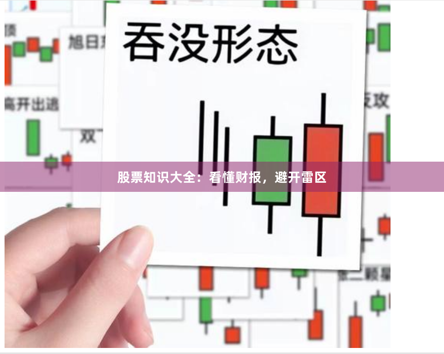 股票知识大全：看懂财报，避开雷区