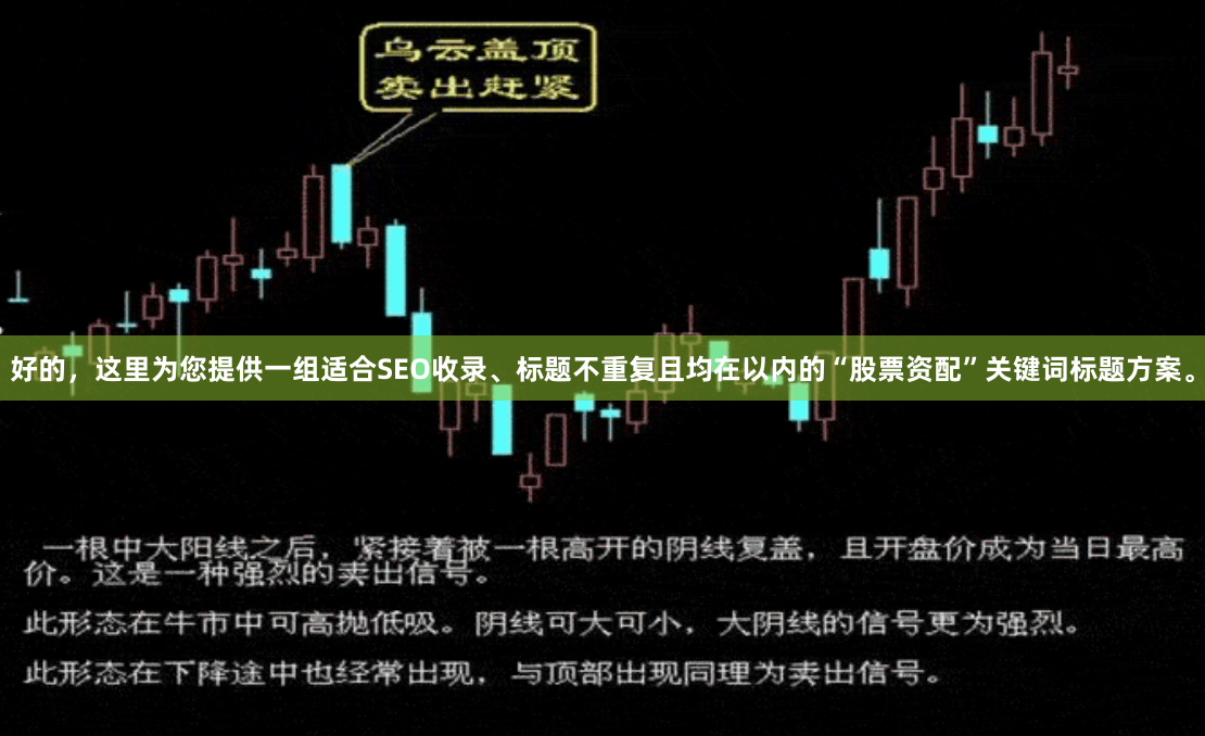 好的，这里为您提供一组适合SEO收录、标题不重复且均在以内的“股票资配”关键词标题方案。